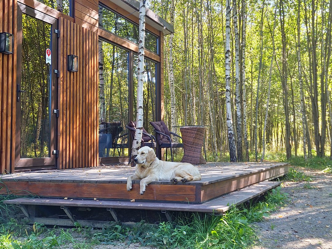 Дом 2-местнвй 1-комнатный (стеклянный)