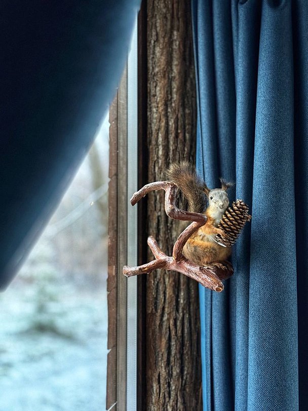 Дом 2-местнвй 1-комнатный (стеклянный)