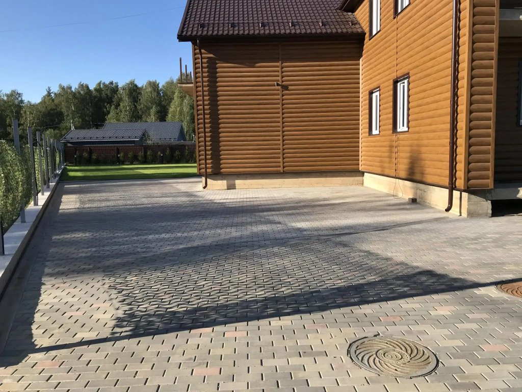 Дельфин, Московская область: фото 2