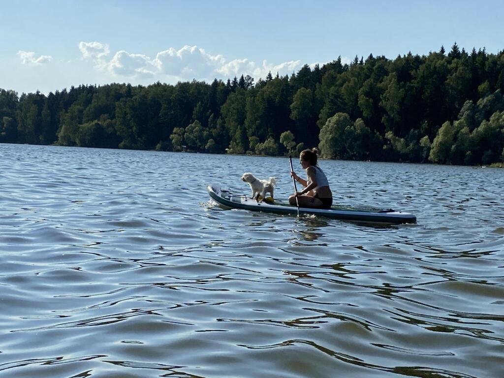 Дельфин, Московская область: фото 5