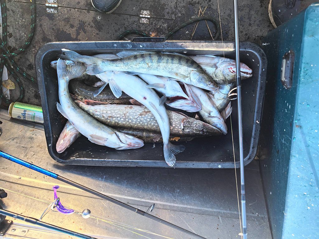 Фото из отзыва от 26.10.2025