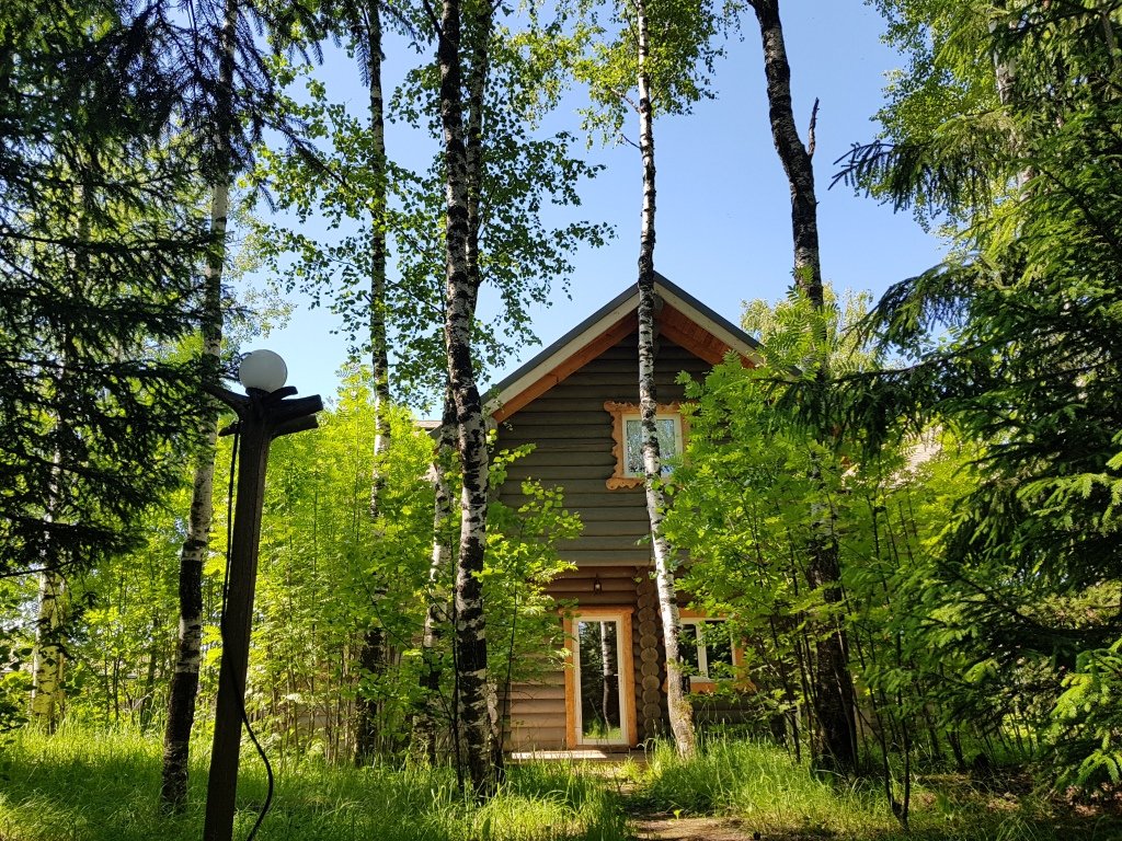 Частный дом Подмосковный Домик с 4 спальнями Люкс, Духанино, Московская область