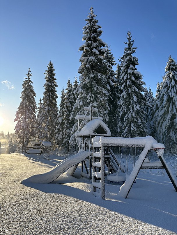 Scandi house, Республика Карелия: фото 4