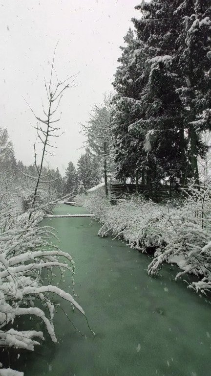 Частный дом При базе отдыха, Московская область: фото 3