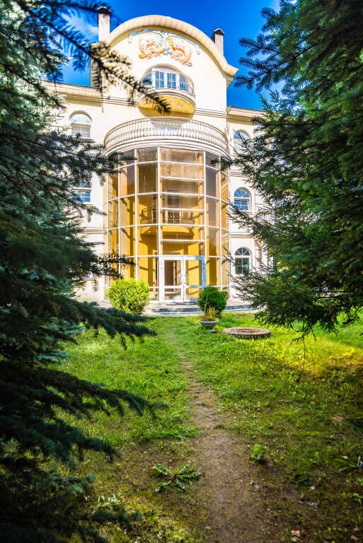 Частный дом Шикарный дом в Апрелевке с бассейном и сауной, Московская область: фото 3