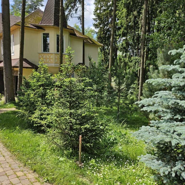 Частный Дом в Лесу, Московская область: фото 3