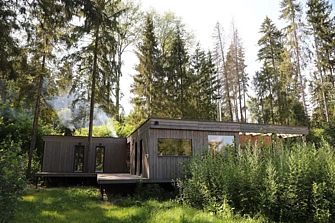 Шале в хвойном лесу