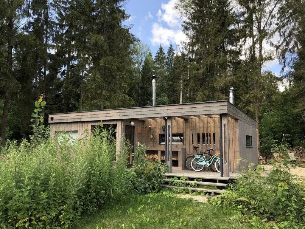 Шале в хвойном лесу, Московская область: фото 2