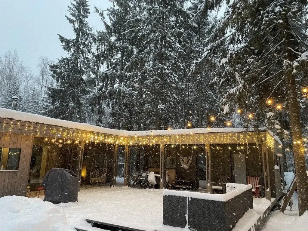 Шале в хвойном лесу, Московская область: фото 4