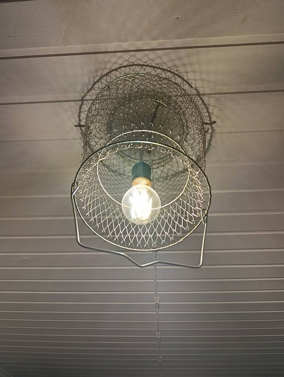 Фото из отзыва от 31.10.2025