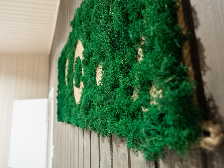 Коттедж 4-местный 2-комнатный (Ель)