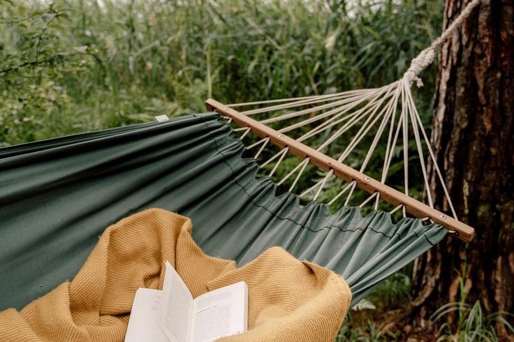 Sherwood, Московская область: фото 4