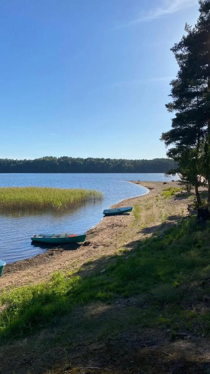 Озёрная, Ленинградская область: фото 3