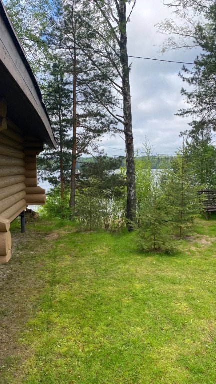 Озёрная, Ленинградская область: фото 4