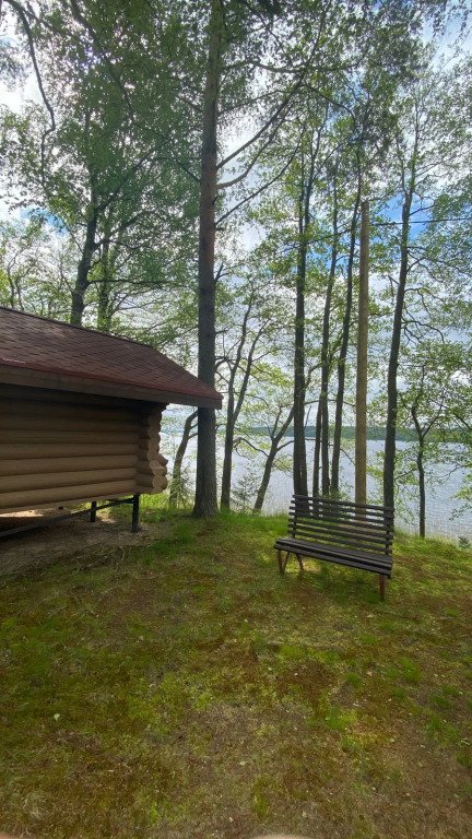 Озёрная, Ленинградская область: фото 5