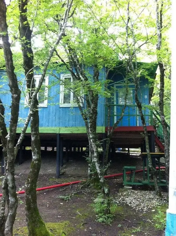 База отдыха Дубрава, Бжид, Краснодарский край