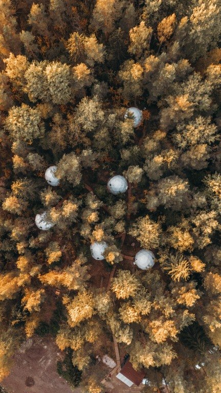 Vuoksa Camp, Ленинградская область: фото 3