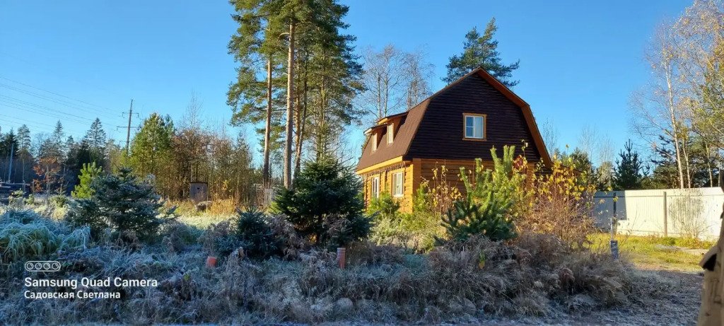 Коттедж Weekend in Korobitsino, Ленинградская область, поселок Коробицыно 