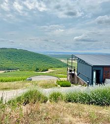 Усадьба Родное гнездо