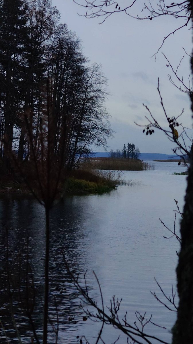 Фото 1 из отзыва о базе отдыха 7 пятниц