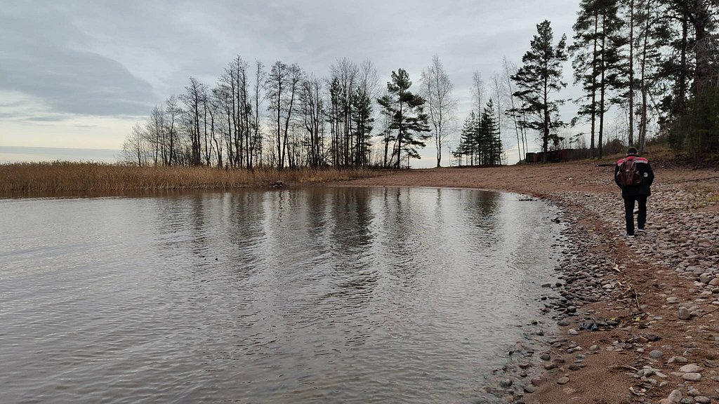 Фото из отзыва от 01.11.2025