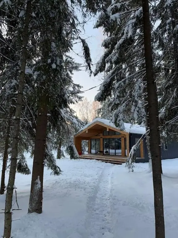 Частный дом Дом Белки, Ленинградская область: фото 2