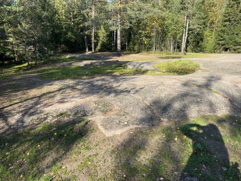 Частный дом Шепот леса, Ленинградская область: фото 3