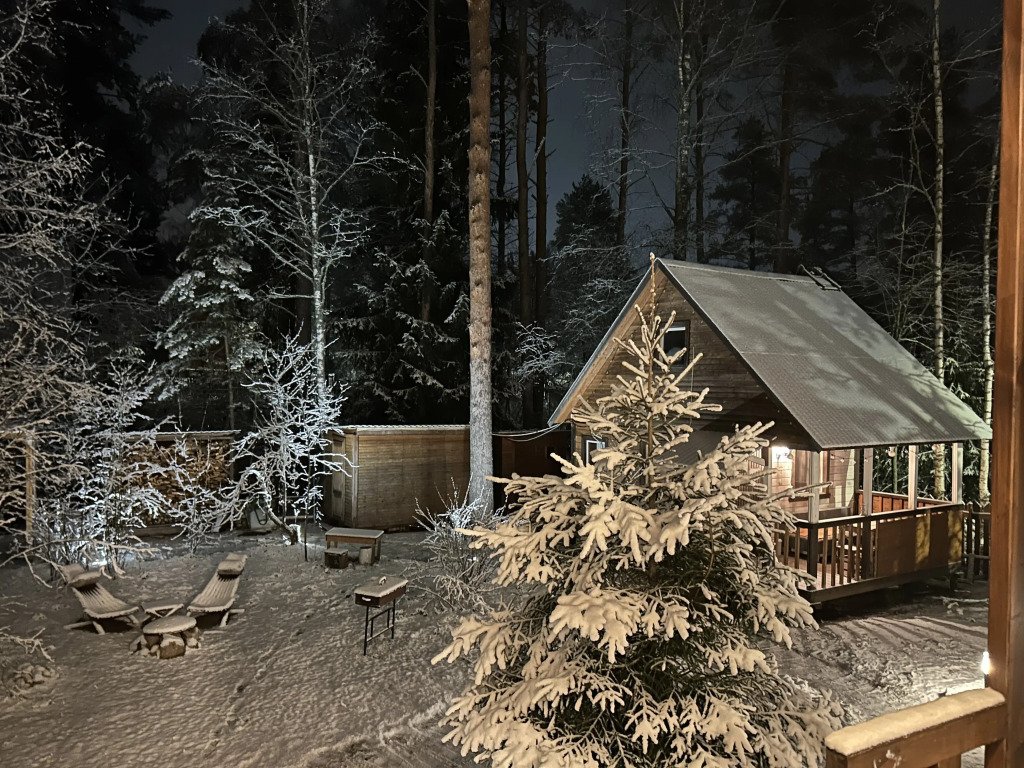 Частный дом у озера с террасой Сосновый дом, Ленинградская область: фото 4