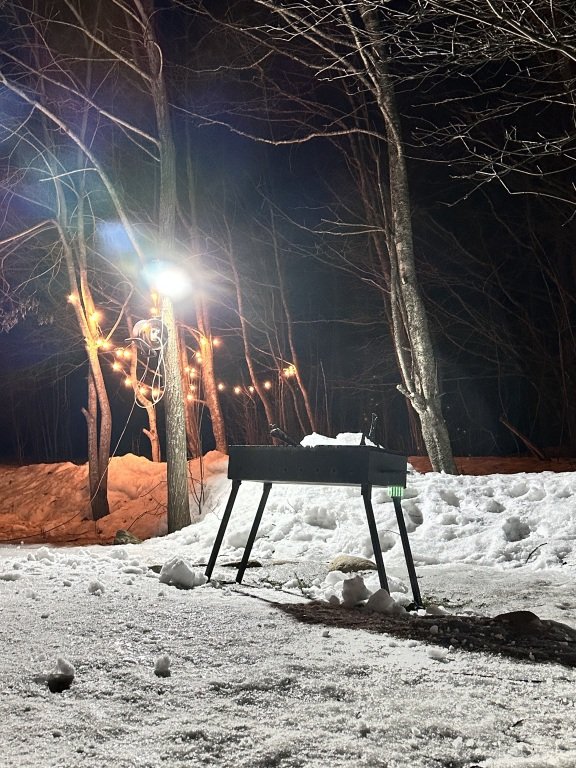 Частный дом Igora Family House, Ленинградская область: фото 4