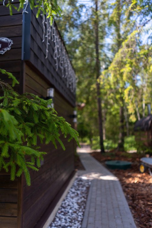 Тристан в 15 минутах от Санкт-Петербурга, Ленинградская область: фото 5