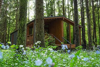 Коттедж Пихта №2