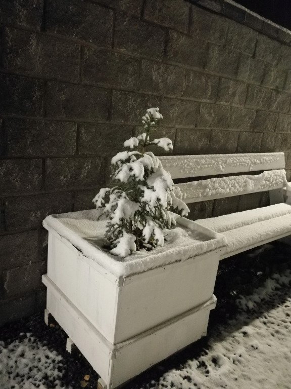 Дач-Хаус, Республика Башкортостан: фото 2