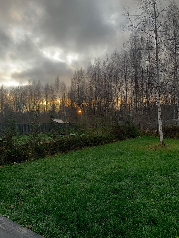 Фото из отзыва от 11.11.2025