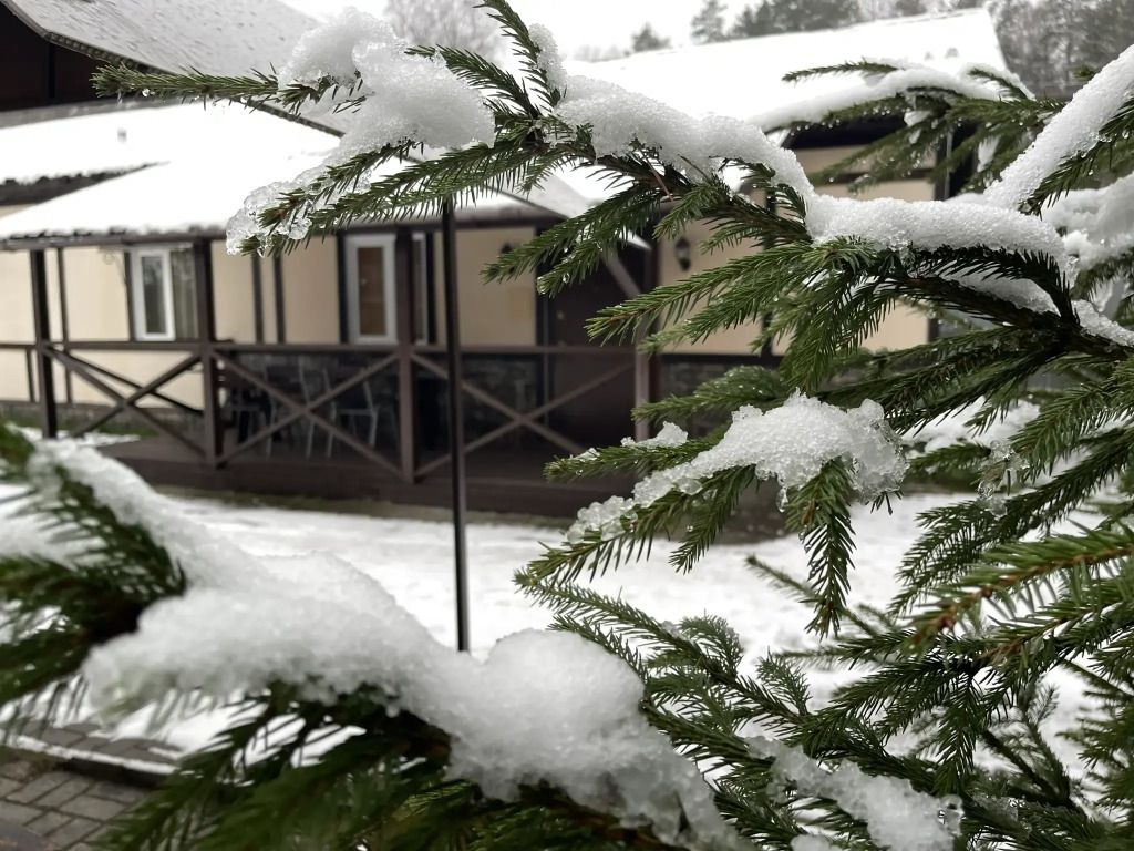 Коттедж Шалле, Всеволожский район, Ленинградская область