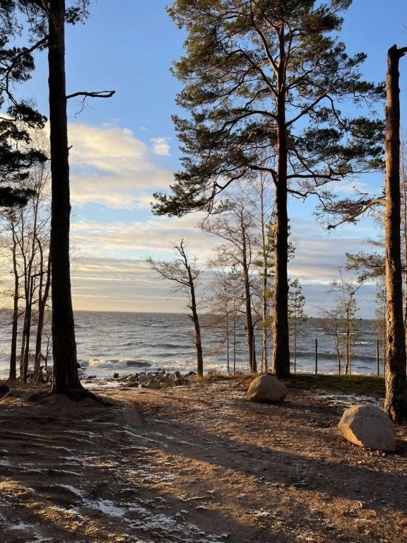 Частный дом Grand Aframe у Финского залива, Ленинградская область: фото 5