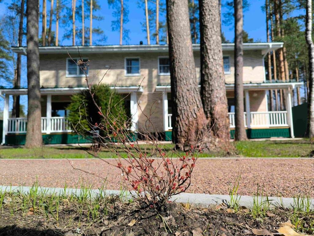 Дача Сосновка, Ленинградская область: фото 2