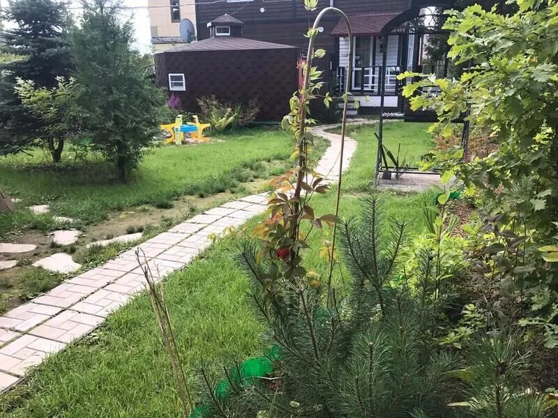 Викинг, Ленинградская область: фото 3