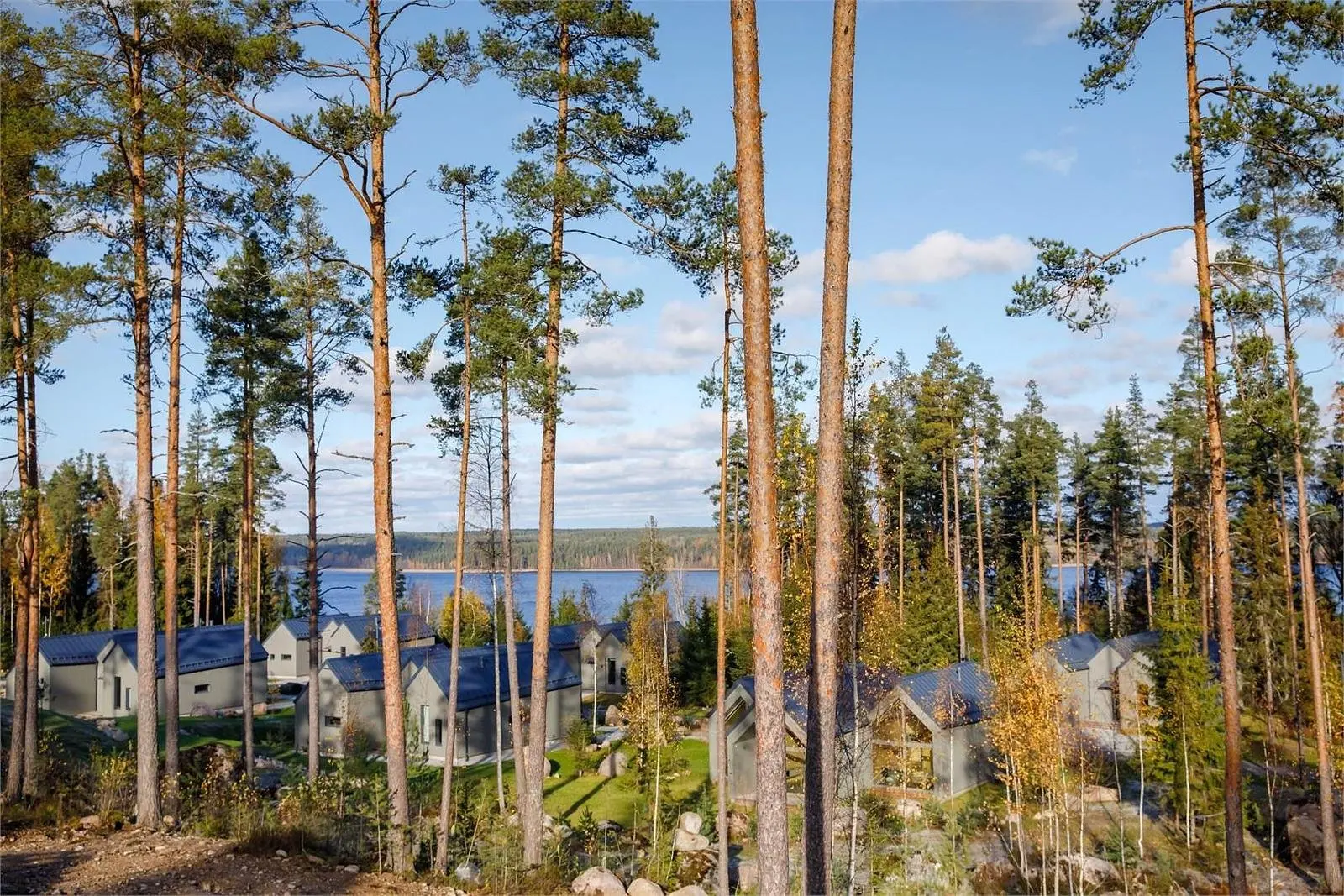 МАРЬЯ Виллы и СПА, Ленинградская область: фото 5
