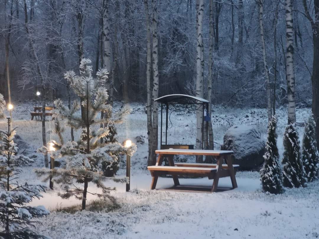 Эко-парк РивеРест, Ленинградская область: фото 4