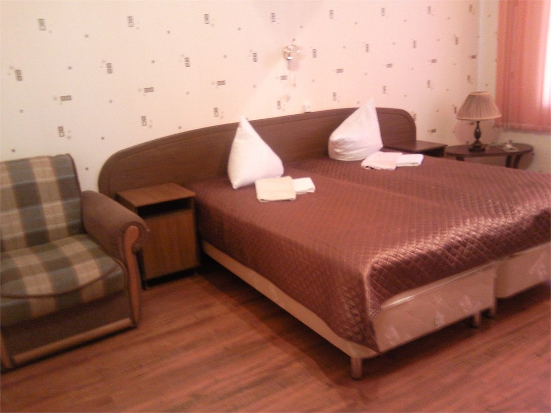 Гостиница Пушкин, Ленинградская область, Пушкин 