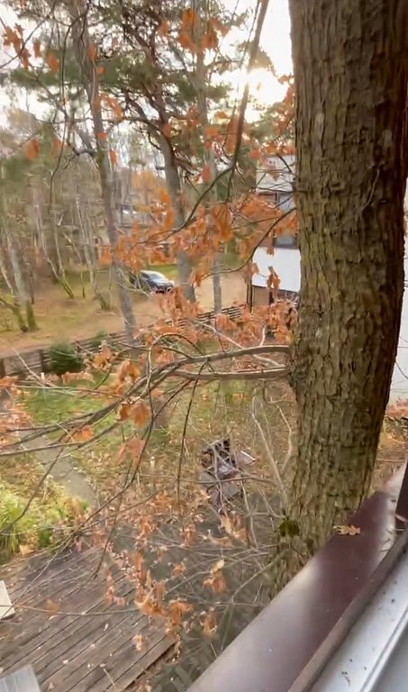 Фото из отзыва от 15.11.2025