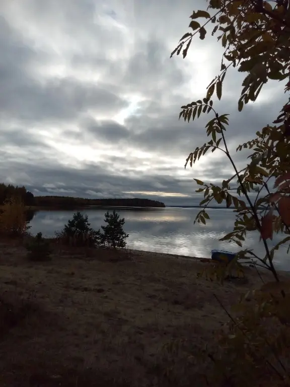 Дом в Карелии Идиллия, Республика Карелия: фото 3