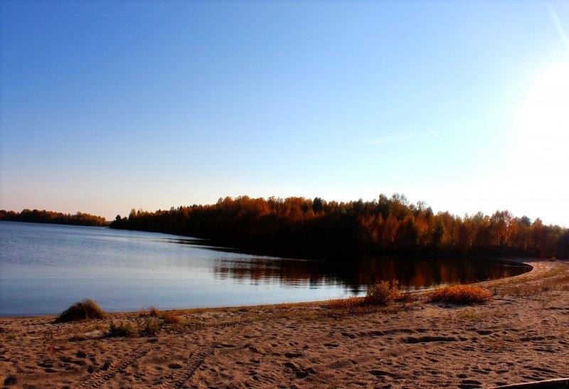 Дом в Карелии Идиллия, Республика Карелия: фото 4