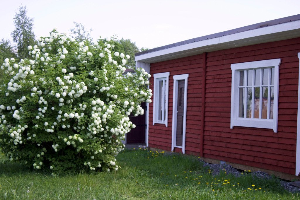 Частный дом Дуплекс для Комфортного Отдыха, Питкярантский, Республика Карелия