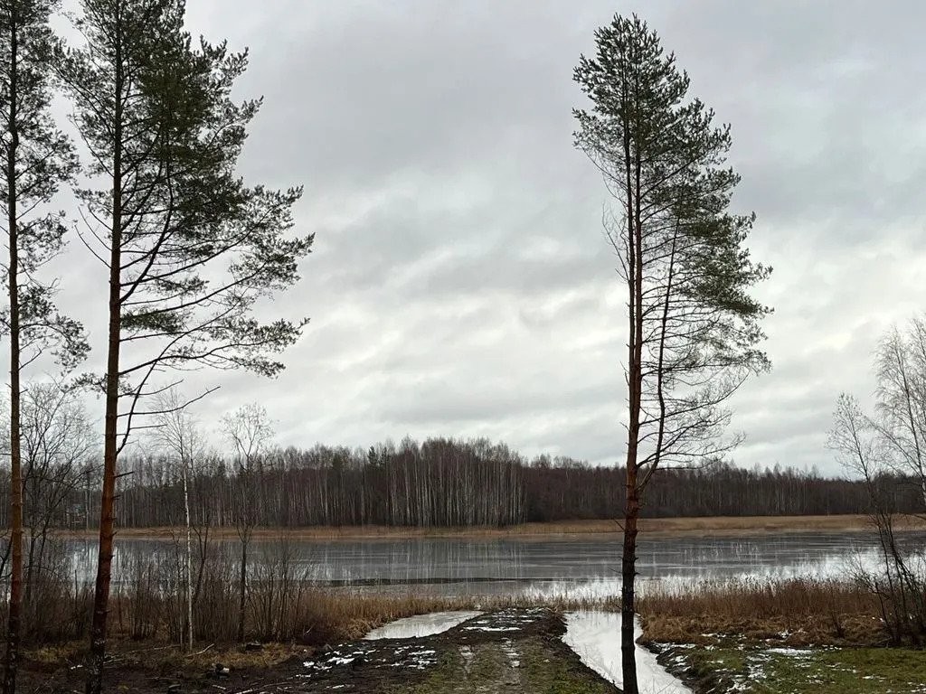 Частный дом на берегу озера Кончезеро, Республика Карелия: фото 4