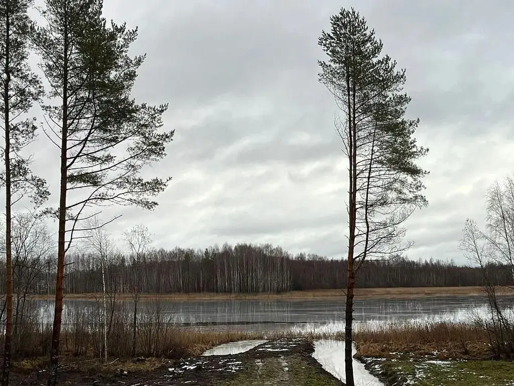 Частный дом на берегу озера Кончезеро, Республика Карелия: фото 4