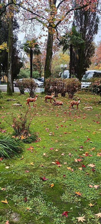 Фото из отзыва от 13.11.2025