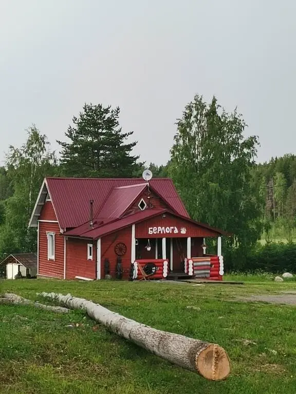 Медвежья лапа, Республика Карелия: фото 5