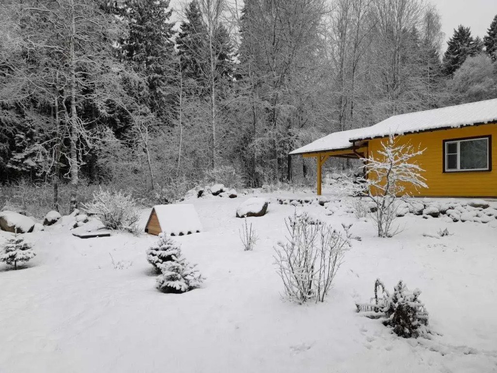 Дом с выходом в лес, Республика Карелия: фото 5