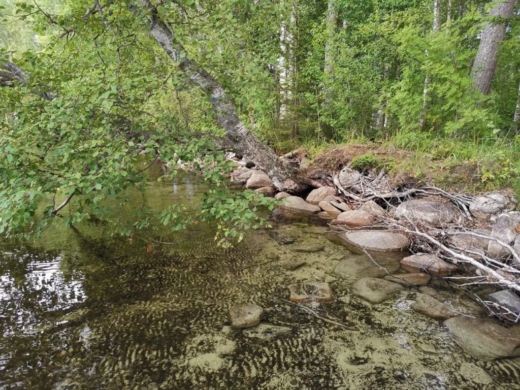 Частный дом на Онежской 4, Республика Карелия: фото 2